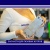 Теплообменник ГВС HR 10 пластин 207 х 166 (для BAXI ECO3, Eco four, Fourtech после 2014)